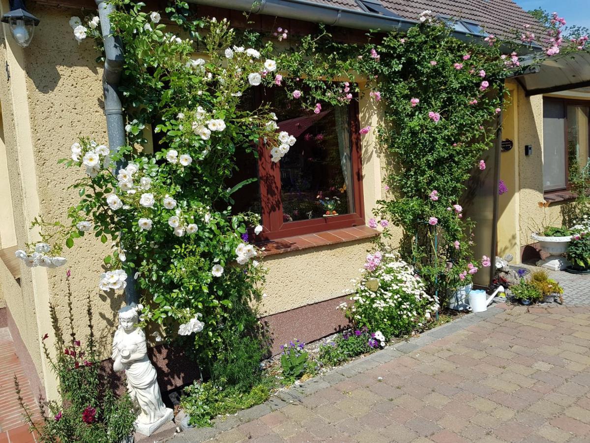 Fewo Abendrot Insel Poel Exterior foto