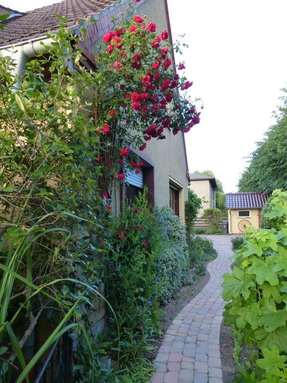 Fewo Abendrot Insel Poel Exterior foto